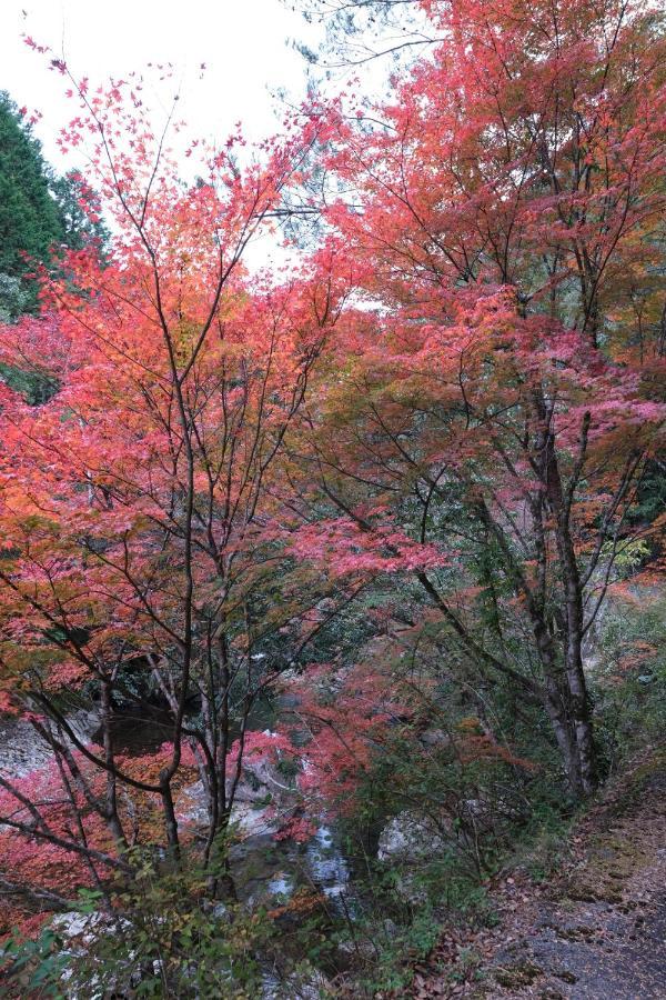 Shimanto Riverside Hideaway Exterior foto